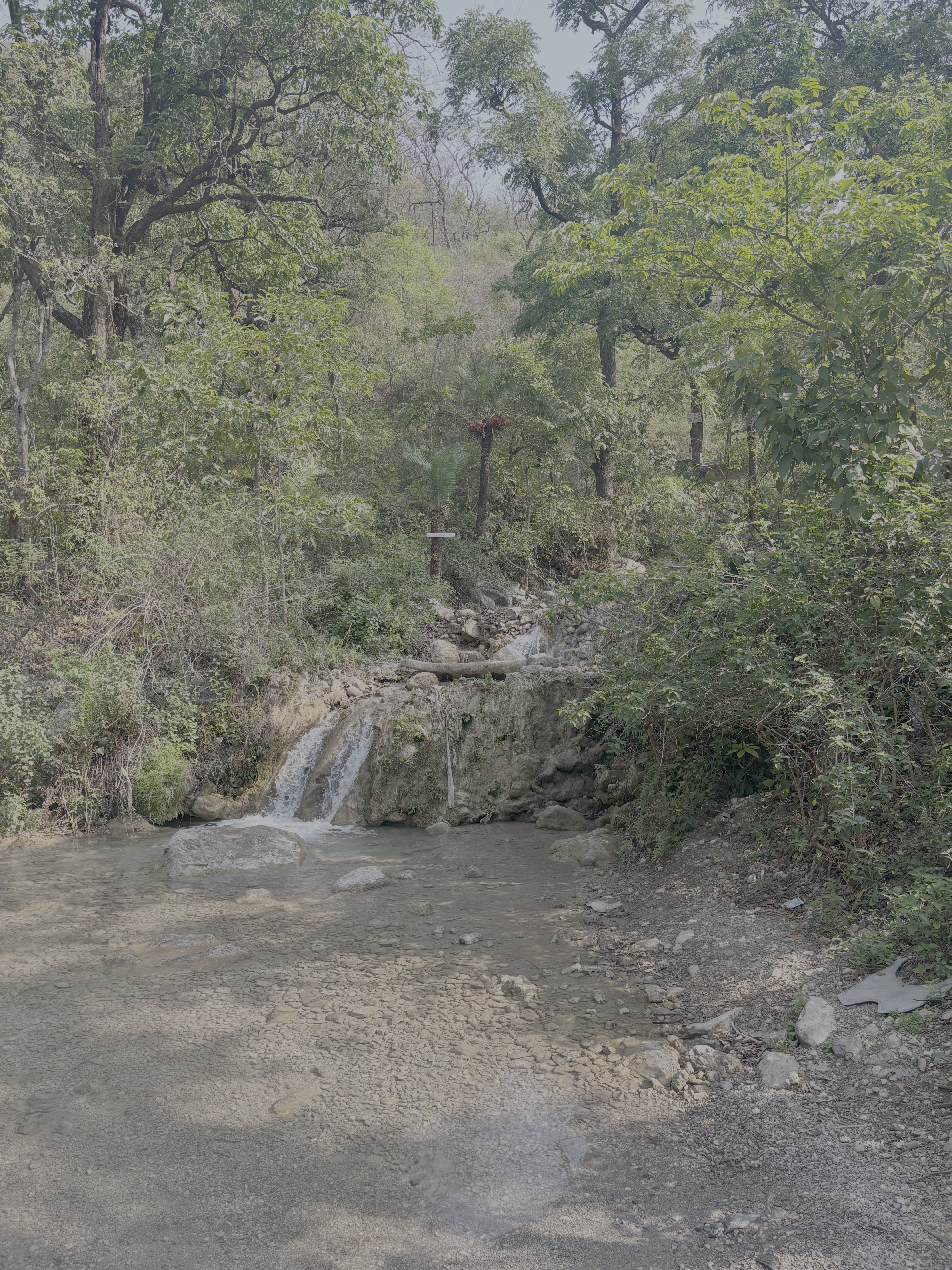 rishikesh