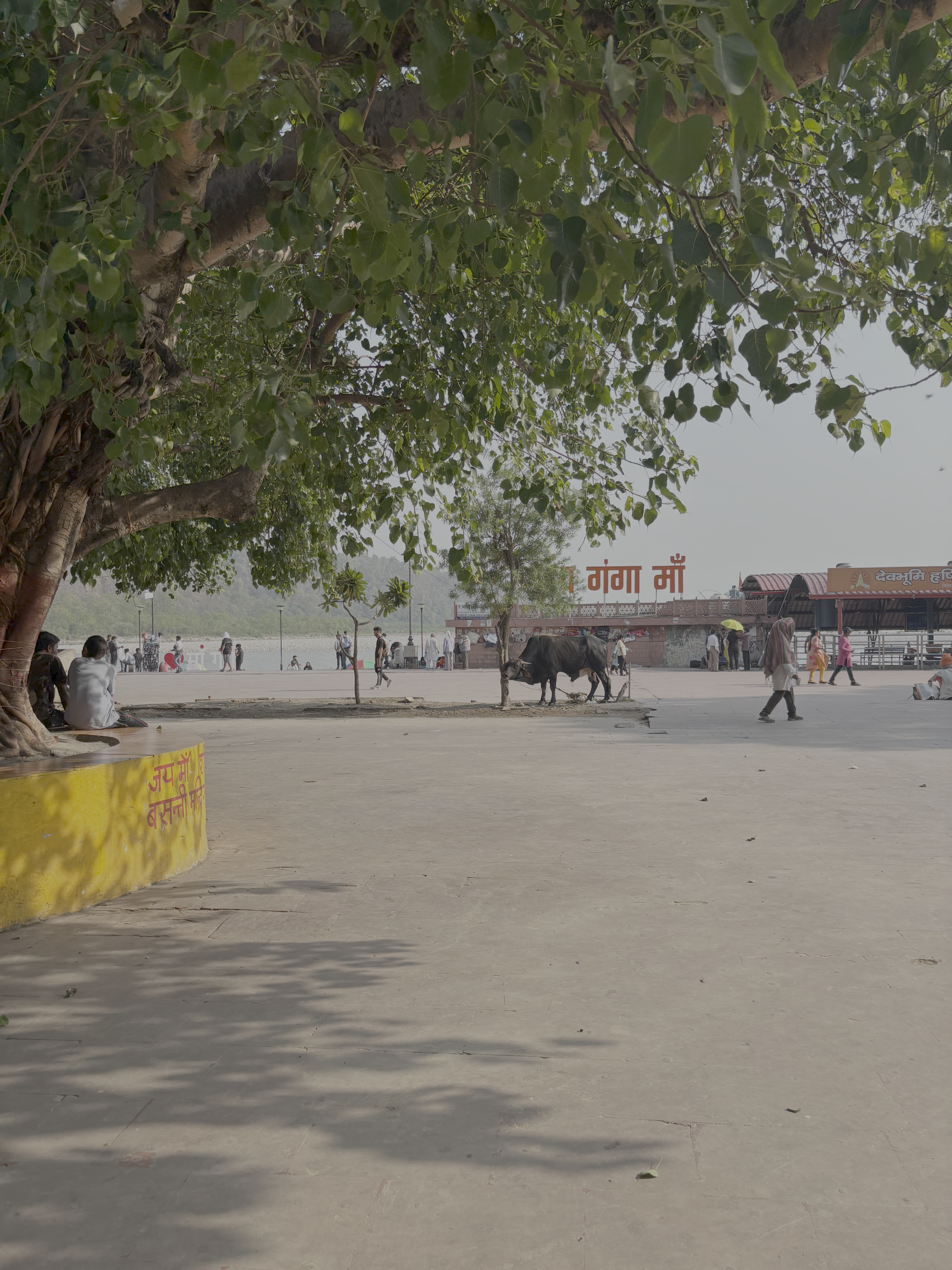 rishikesh